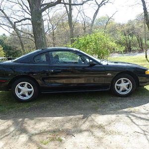 mustang 001