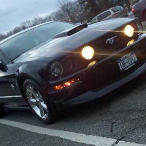 mustang16 020