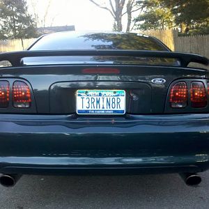 stang 8