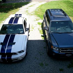 My two babies