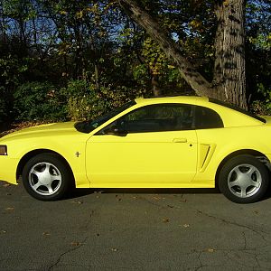 2002 Yellow Mustang (Tweety Bird)
5-Speed G6
75K Miles
Arizona Car
One owner
All Maintenance Records
Security system, moon roof, needs new tires