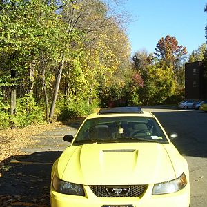 2002 Yellow Mustang (Tweety Bird)
5-Speed G6
75K Miles
Arizona Car
One owner
All Maintenance Records
Security system, moon roof, needs new tires