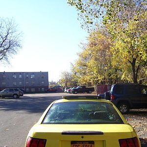 2002 Yellow Mustang (Tweety Bird)
5-Speed G6
75K Miles
Arizona Car
One owner
All Maintenance Records
Security system, moon roof, needs new tires