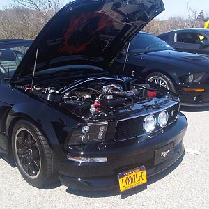 Nice custom Paint