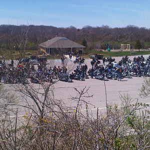 Some 2 wheeled friends