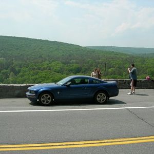 Eagle Nest