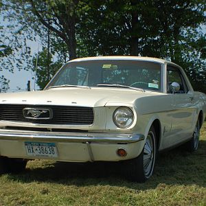 DSC 0037