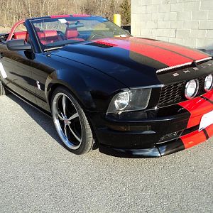 Stang2