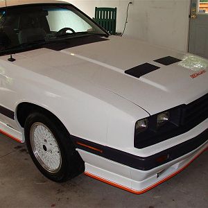 DSC03247 800