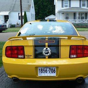 My Mustang 031