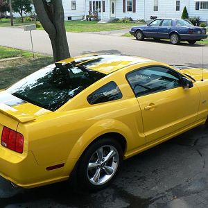 My Mustang 032