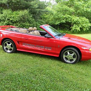 STOCK 0238  COBRA
