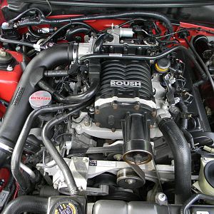 ROUSH