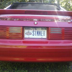 New plates!