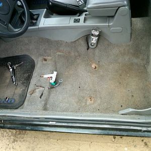 old stained carpet had to go