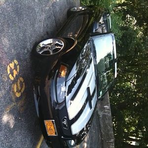 Stang top down