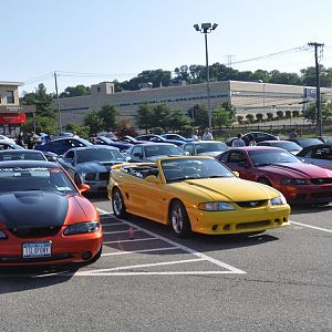 DSC 0009