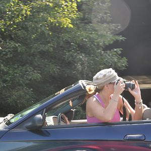 DSC 0064