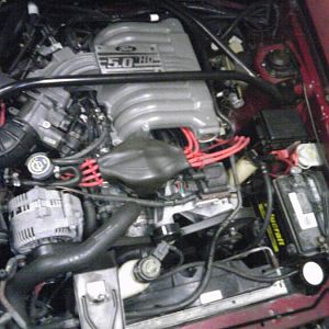 IMG00256