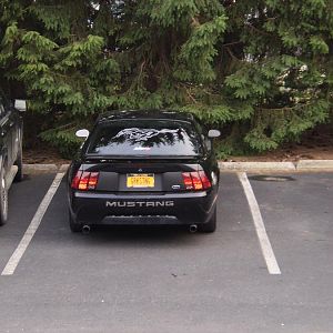 NYM at Carisle 2011
