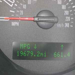IMG 0271