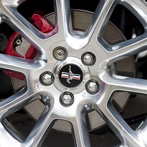 Rear caliper