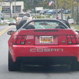 DSCN2950