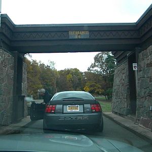 DSCN3101