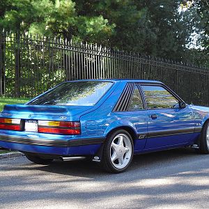 85 pics 005