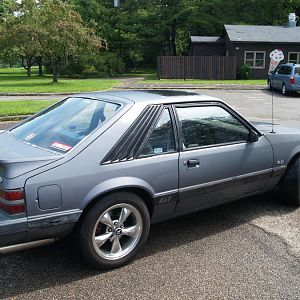 P8216894
