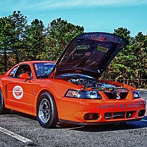 AJ Cobra Track Pic