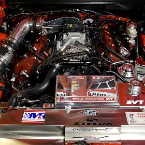 TT Big Bore 302!