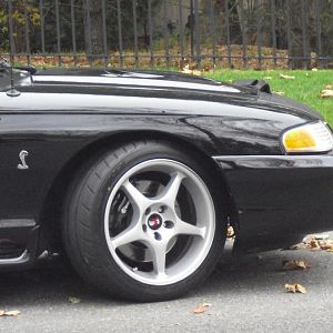 CIMG1800