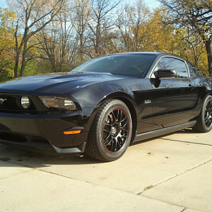 gorgeous!