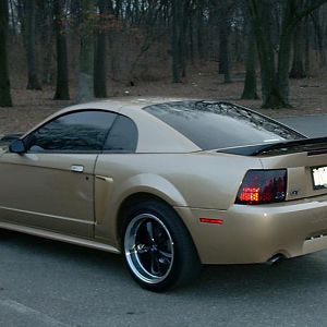 Rear l/s