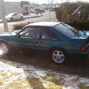 93 reef blue