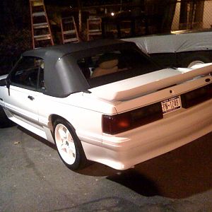 saleen2