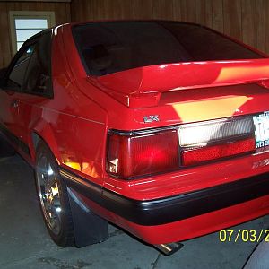 MUSTANG22 035