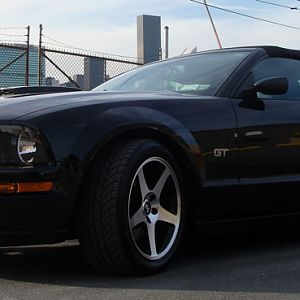 MoStang Sklyline worms eye 2