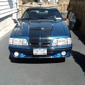 IMG00043 20090323 1156