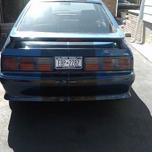 IMG00042 20090323 1156