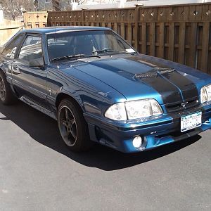 IMG00044 20090323 1157