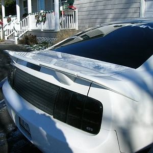 2405.jpg