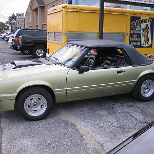 IMG 0006