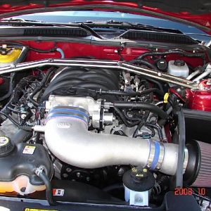 Mustang6