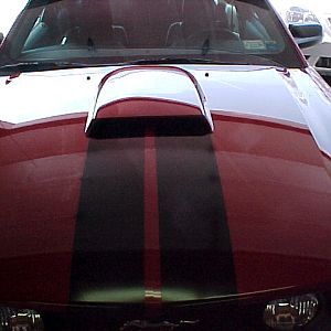 MVC 005F