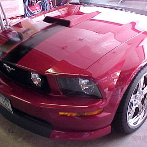 MVC 007F