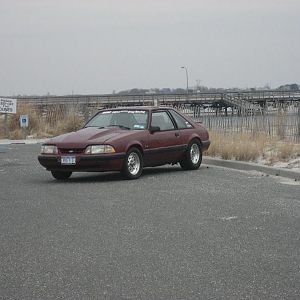IMG 0426