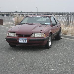 IMG 0427