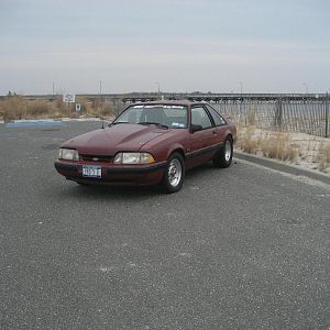 IMG 0428